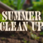 Summer Clean Up